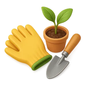 Home and Garden